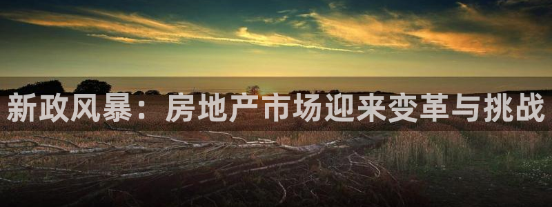 和记娱乐网官网：新政风暴：房地产市场迎来变革与挑战