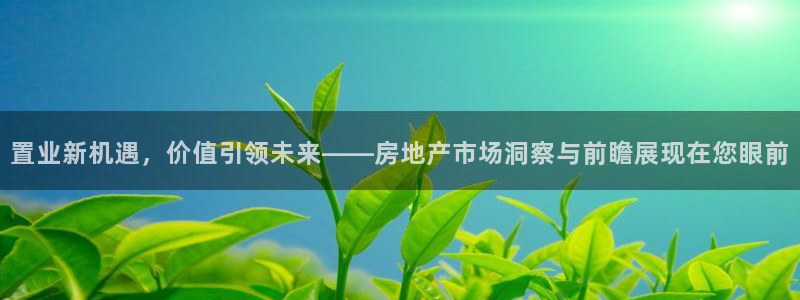 和记官网官网入口：置业新机遇，价值引领未来——房地产市场洞察