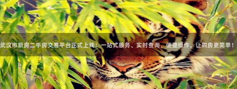 澳门和记客服官网：武汉市新房二手房交易平台正式上线：一站式服