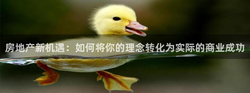 广州和记黄埔官网：房地产新机遇：如何将你的理念转化为实际的商