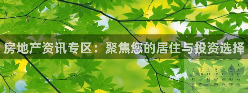 和记黄埔药业官网：房地产资讯专区：聚焦您的居住与投资选择