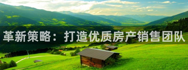 和记一品官网：革新策略：打造优质房产销售团队