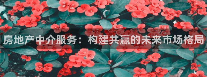 和记隆官网：房地产中介服务：构建共赢的未来市场格局