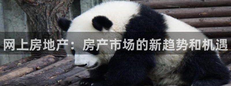 和记娱乐怡情官网：网上房地产：房产市场的新趋势和机遇