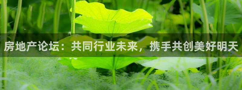 和记澳门官网：房地产论坛：共同行业未来，携手共创美好明天