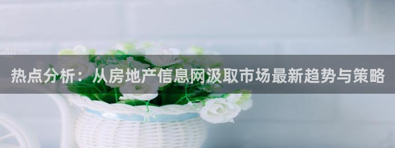 和记娱永久h88285官网：热点分析：从房地产信息网汲取市场