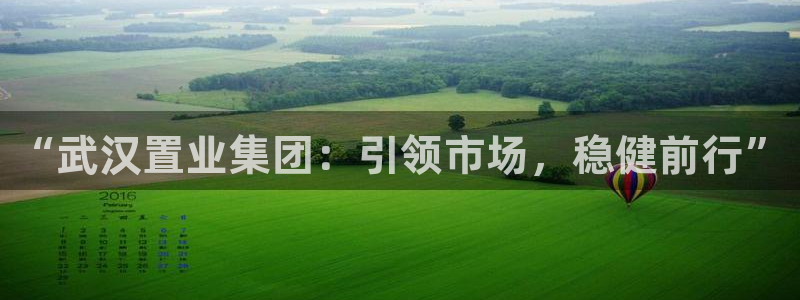和记黄埔官网教育：“武汉置业集团：引领市场，稳健前行”