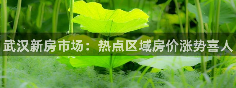 和记娱永久h88285官网：武汉新房市场：热点区域房价涨势喜