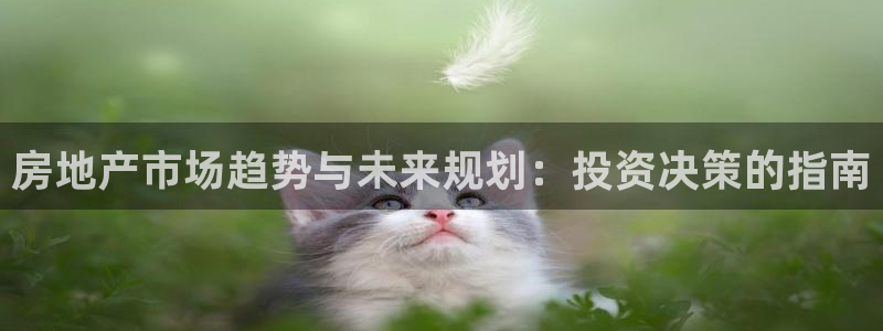 和记娱乐app官网：房地产市场趋势与未来规划：投资决策的指南