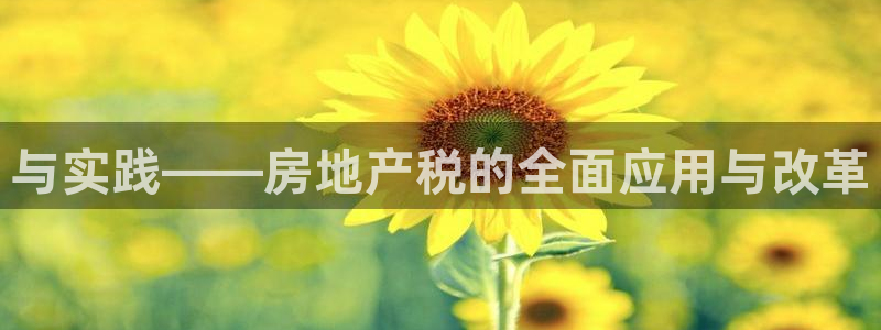香港和记3hk官网：与实践——房地产税的全面应用与改革