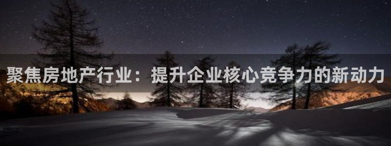 和记网站官网：聚焦房地产行业：提升企业核心竞争力的新动力