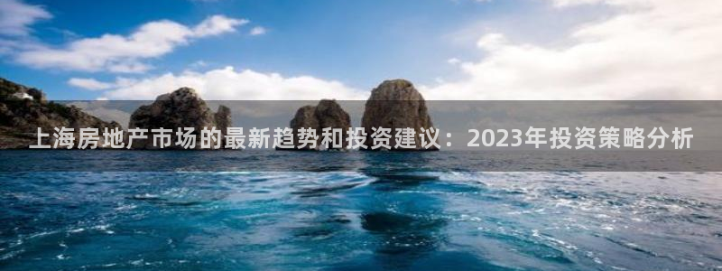 和记怡情博物官网：上海房地产市场的最新趋势和投资建议：202