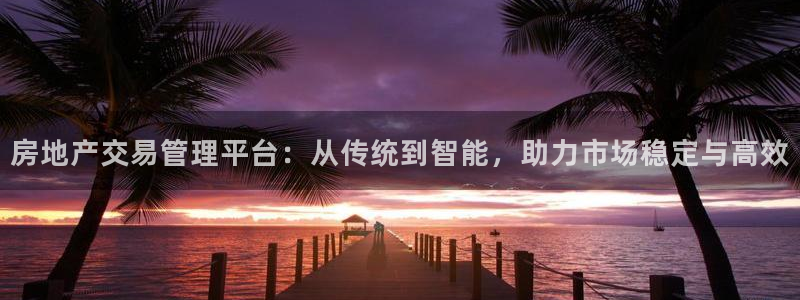 小金库钱包app下载官网和记：房地产交易管理平台：从传统到智