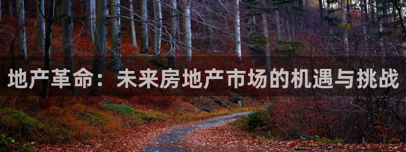 澳门和记官网：地产革命：未来房地产市场的机遇与挑战
