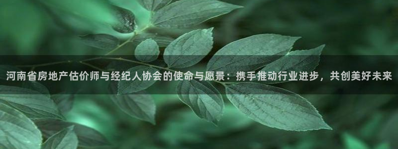 和记官网是一个什么平台：河南省房地产估价师与经纪人协会的使命