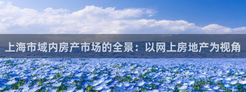 3和记电讯官网：上海市域内房产市场的全景：以网上房地产为视角