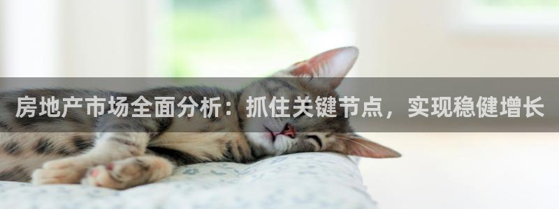 和记官网充值：房地产市场全面分析：抓住关键节点，实现稳健增长