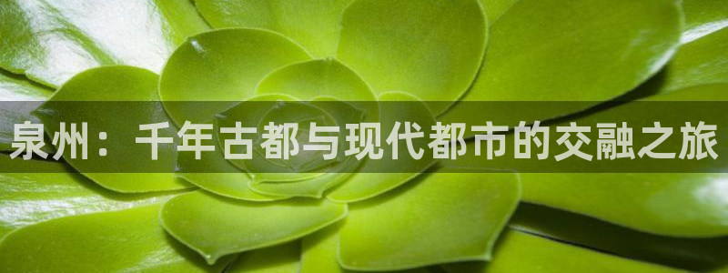 和记官网：泉州：千年古都与现代都市的交融之旅