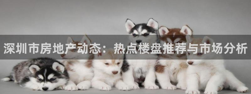 和记怡情h88官网：深圳市房地产动态：热点楼盘推荐与市场分析