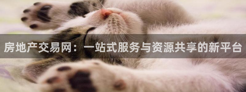 和记电讯 官网：房地产交易网：一站式服务与资源共享的新平台
