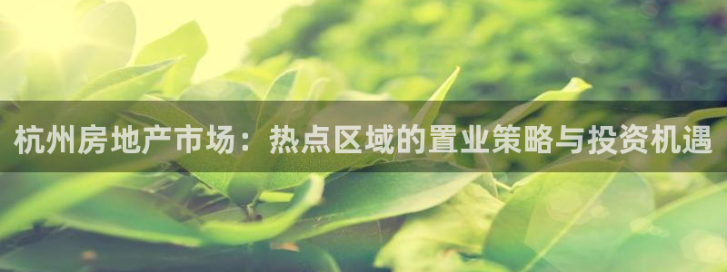 香港和记卡官网：杭州房地产市场：热点区域的置业策略与投资机遇