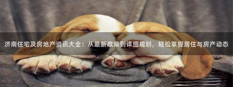 香港和记电信官网：济南住宅及房地产资讯大全：从最新政策到详细
