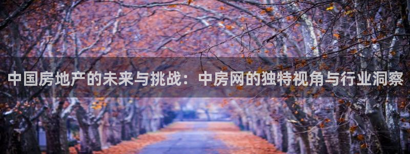 和记娱真心推荐h88285官网：中国房地产的未来与挑战：中房