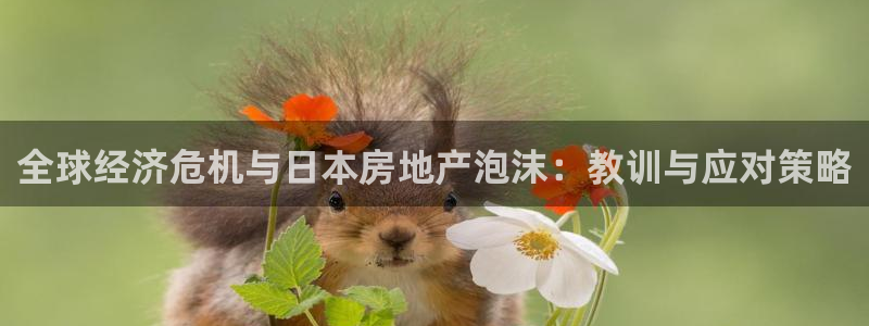 和记黄埔官网：全球经济危机与日本房地产泡沫：教训与应对策略