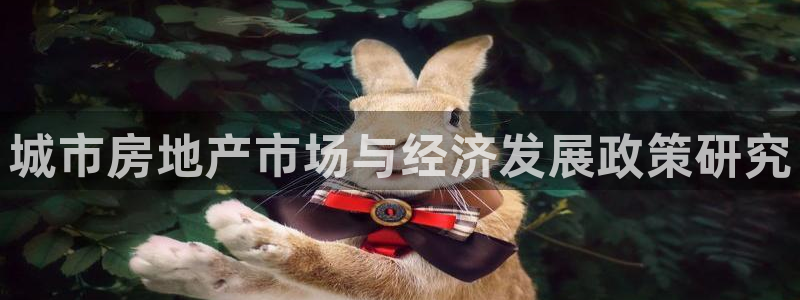 和记黄埔武汉官网：城市房地产市场与经济发展政策研究