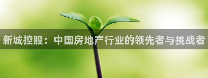 香港和记卡官网：新城控股：中国房地产行业的领先者与挑战者