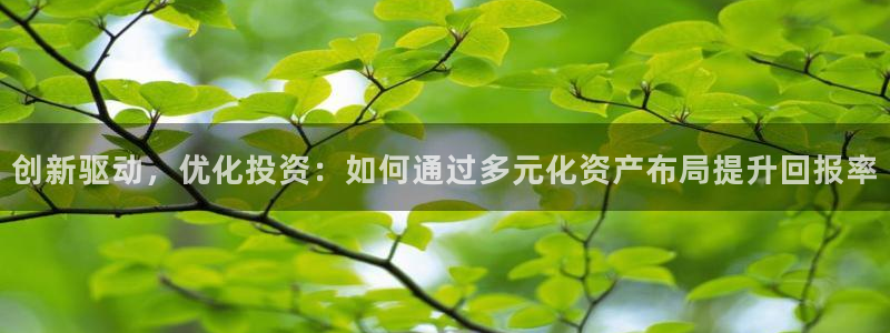 下载和记官网：创新驱动，优化投资：如何通过多元化资产布局提升