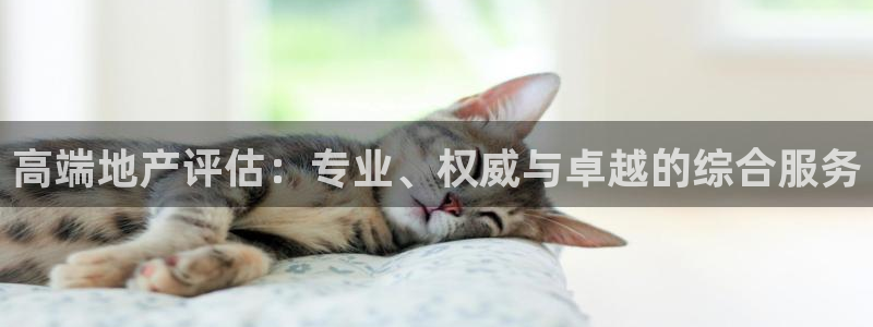 和记澳门官网：高端地产评估：专业、权威与卓越的综合服务