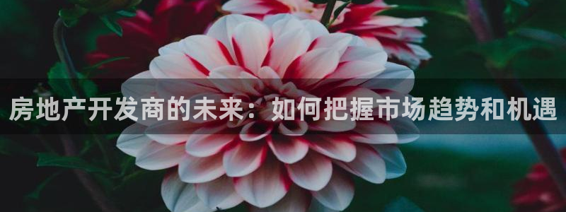 和记万佳官网：房地产开发商的未来：如何把握市场趋势和机遇