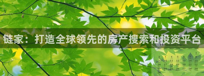 和记门店官网：链家：打造全球领先的房产搜索和投资平台