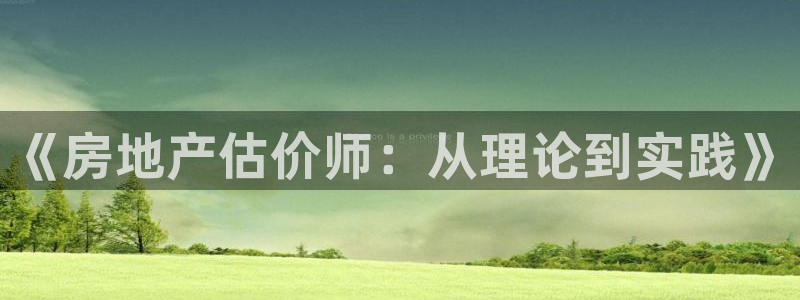 和记茶餐厅官网：《房地产估价师：从理论到实践》