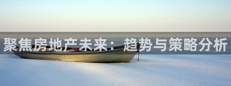 和记港口官网：聚焦房地产未来：趋势与策略分析