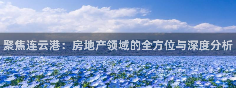 和记官网手机版下载：聚焦连云港：房地产领域的全方位与深度分析