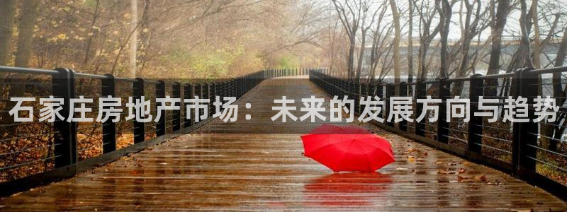 下载和记官网：石家庄房地产市场：未来的发展方向与趋势